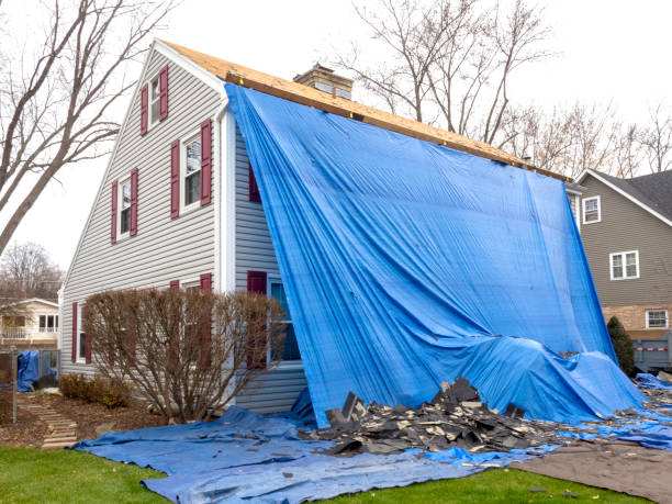 Best Carpet Removal and Disposal  in Oakmont, PA